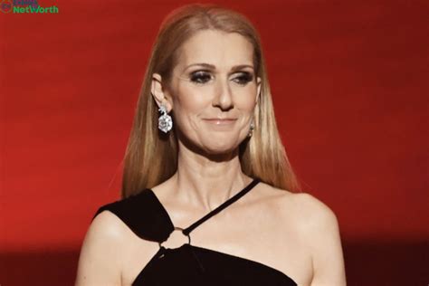 celine net worth|celine dion salary.